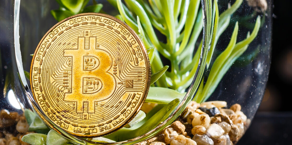 How to find and claim lost crypto?