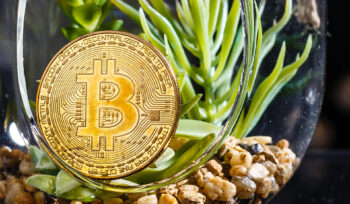 How to find and claim lost crypto?